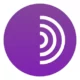 Иконка Tor Browser Bundle 10.0.16 (2021) PC