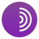 Иконка Tor Browser Bundle 10.5.2 (2021) PC