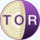 Иконка Tor Browser Bundle 12.0 [Multi Ru]