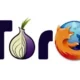 Иконка Tor Browser Bundle 9.5 (2020) РС