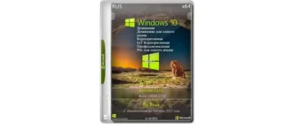 Иконка Windows 10 21H2 (19044.2130) x64 (6in1) by Brux [Ru]