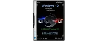 Иконка Windows 10 2in1 VL (x64) Elgujakviso Edition v.07.03.20 (2020) Русский