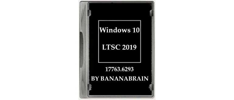 Иконка Windows 10 Enterprise LTSC 2019 10.0.17763.6293 x64 by BananaBrain [Ru]