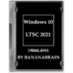 Иконка Windows 10 Enterprise LTSC 2021 21H2 10.0.19044.4894 x64 by BananaBrain [Ru]