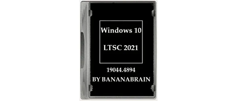 Иконка Windows 10 Enterprise LTSC 2021 21H2 10.0.19044.4894 x64 by BananaBrain [Ru]