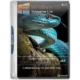 Иконка Windows 10 Enterprise x64 lite 2004 build 19041.264 by Zosma (2020) Русский