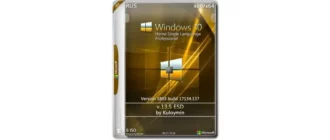 Иконка Windows 10 HomeSL Pro 1803 x86 x64 by kuloymin v13.5 (esd) [Ru]
