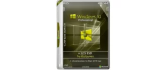 Иконка Windows 10 Pro 1709 x86 x64 by kuloymin v12.5 (esd) (2018) Русский