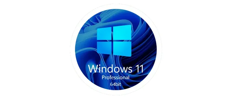 Иконка Windows 11 23H2 Professional [22631.2861] (05.01.2024) by bulygin-dima [Ru]