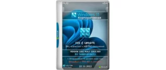 Иконка Windows 11 Корпоративная x64 22Н2 (build 22621.963) by ivandubskoj 22.12.2022 [Ru]