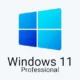 Иконка Windows 11 Pro 24H2 26100.4061 x64 by SanLex [Lightweight] [Ru En] (2025.05.23)