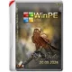 Иконка WinPE 11-10-8 Sergei Strelec (x86 x64 Native x86) 2024.09.20 [Ru]