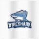 Иконка Wireshark 3.4.8 + Portable [Multi Ru]