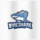 Иконка Wireshark 3.6.7 + Portable [Multi Ru]