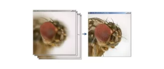 Иконка Zerene Stacker v1.04 Build T201711041830 Final [2018, Eng]