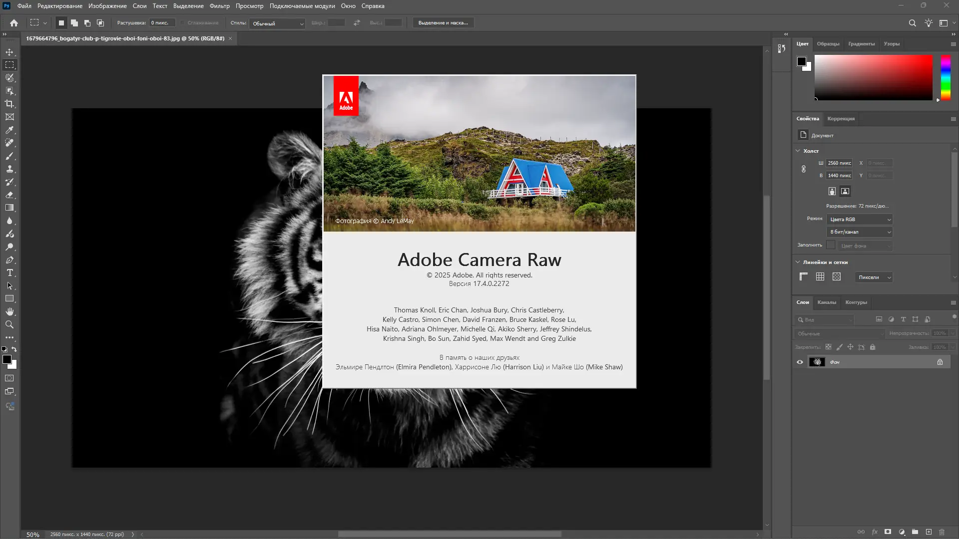 Инсталляция и активация