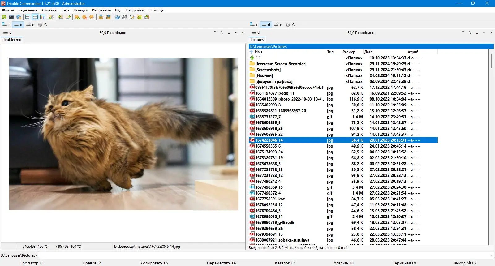 Инсталляция и активация