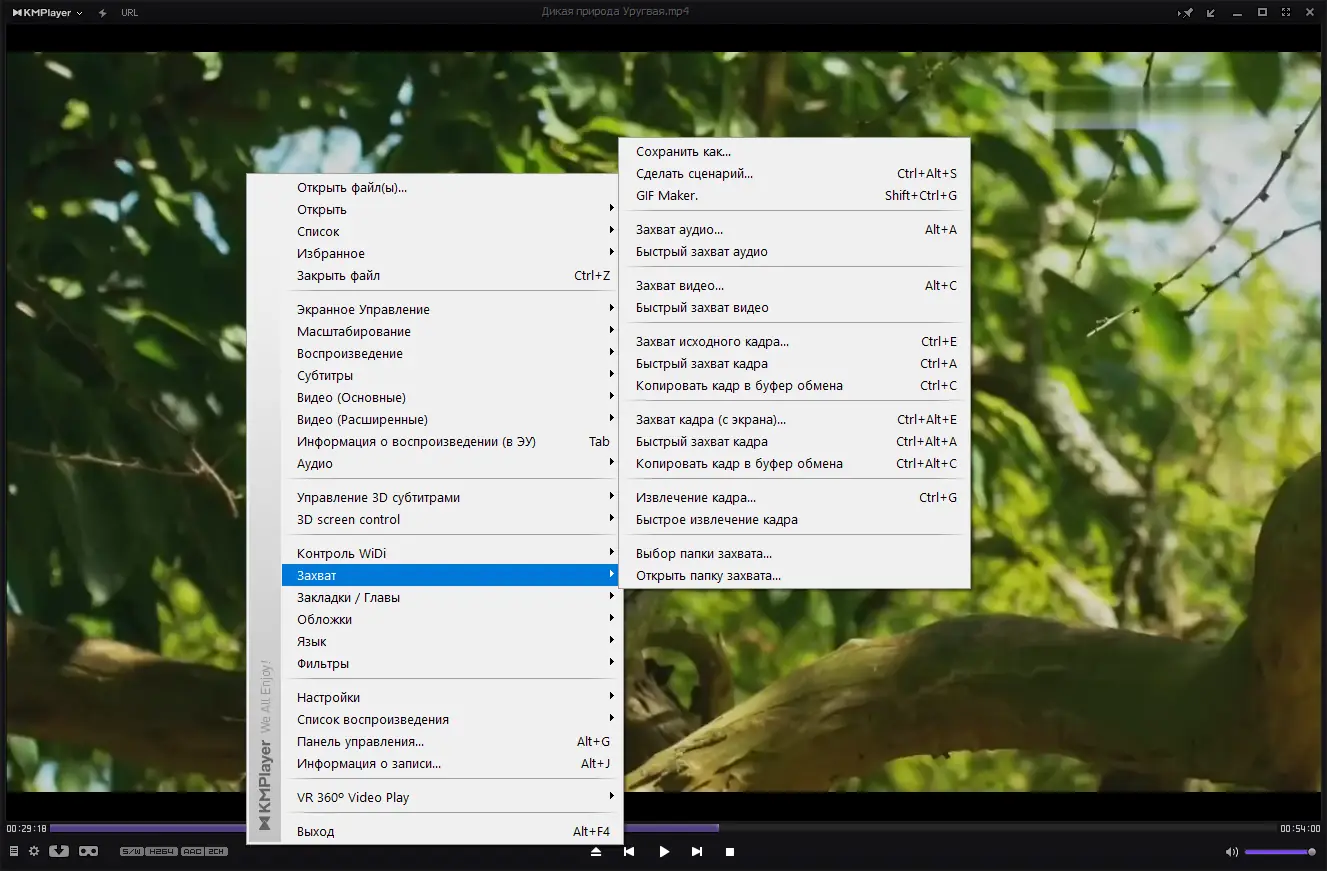 Настройки программы