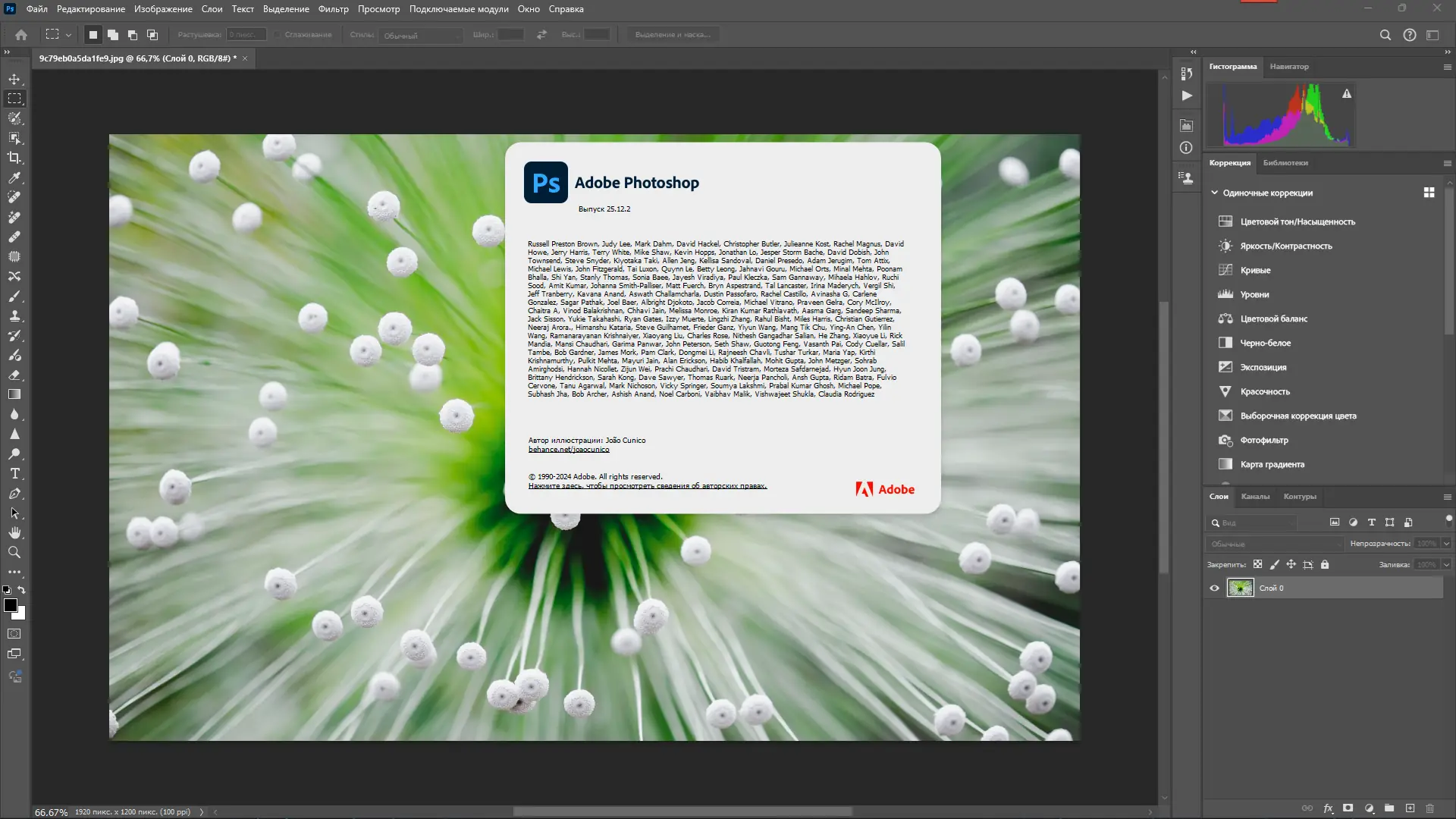 Пользовательсткй интерфейс Adobe Photoshop 2024 25.12.2.1009 Light (x64) Portable by 7997 [Multi Ru]