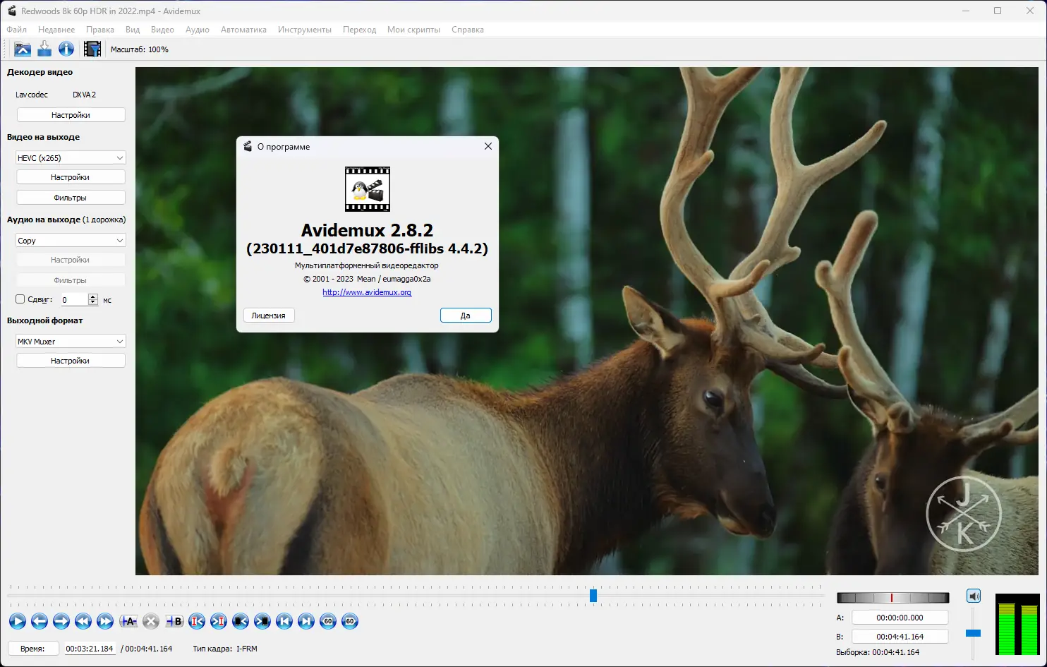 Пользовательсткй интерфейс Avidemux 2.8.2 Nightly(r230111) + Portable (x64) [Multi Ru]