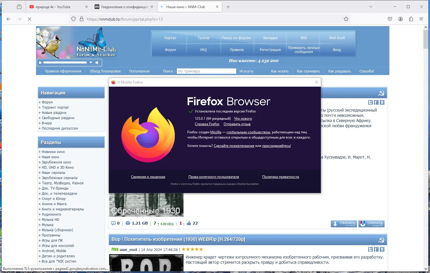 Пользовательсткй интерфейс Firefox Browser 125.0.1 (x86 x64) Portable by 7997 [Ru]