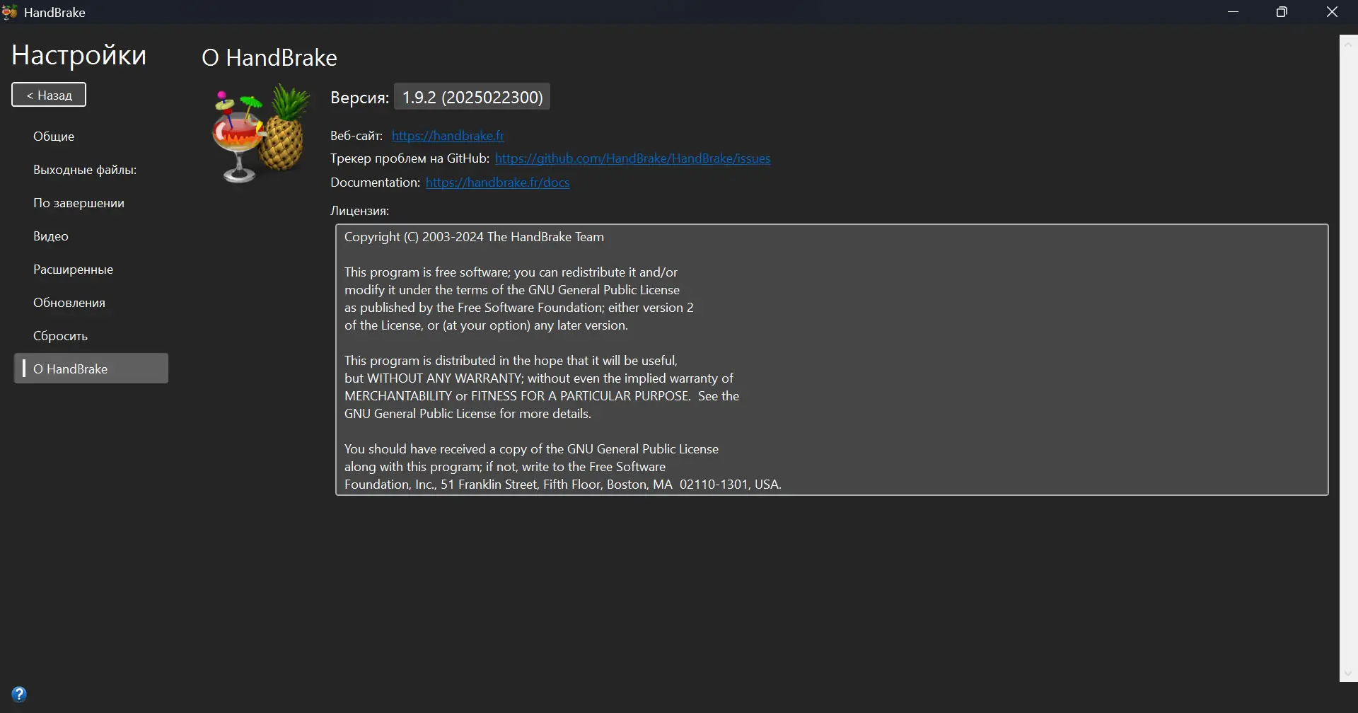 Пользовательсткй интерфейс HandBrake 1.9.2 + Portable [Multi Ru]