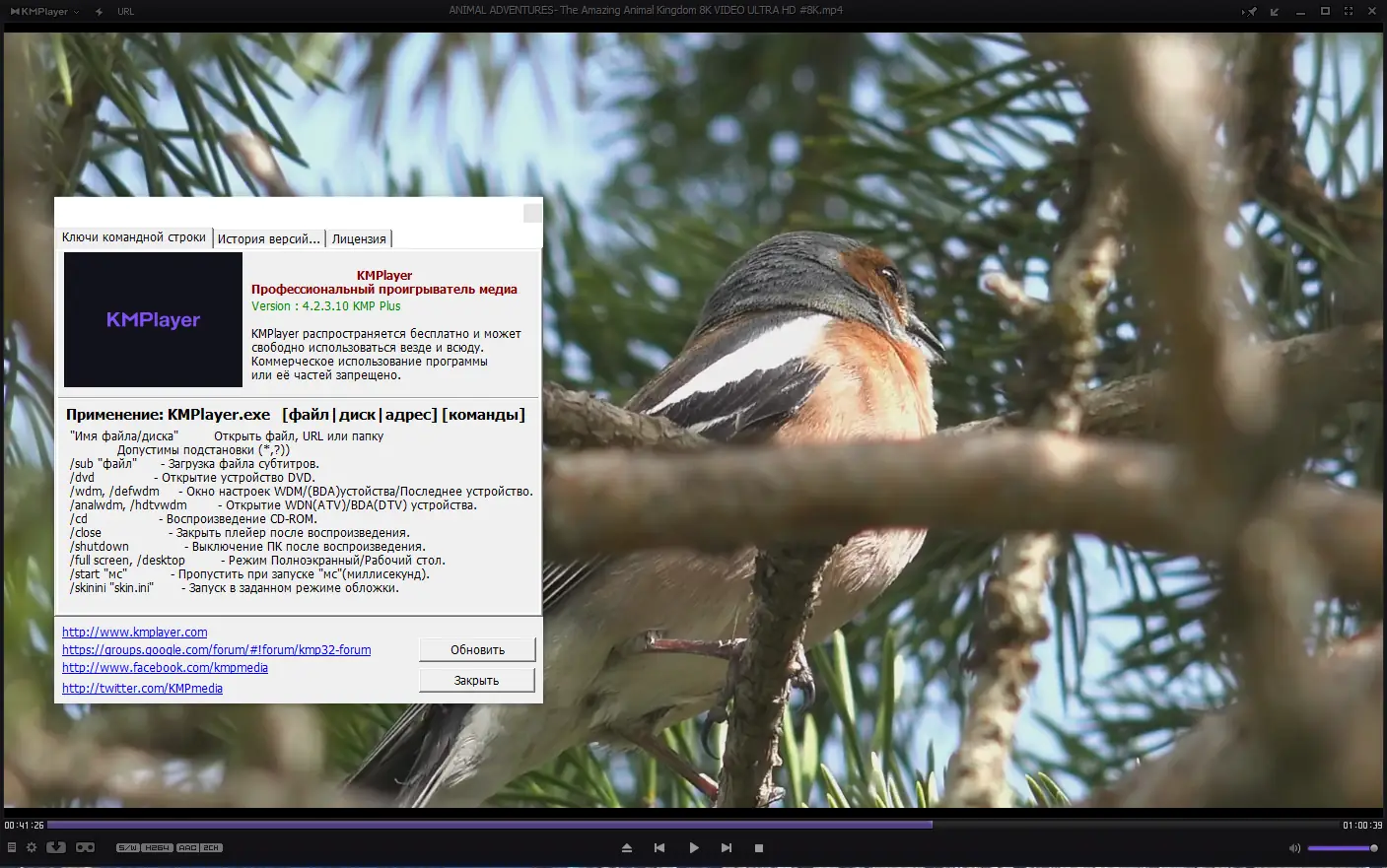 Пользовательсткй интерфейс KMPlayer 4.2.3.10 Plus (x86) Portable by 7997 [Multi Ru]