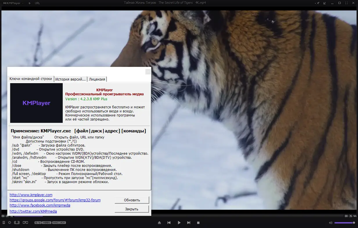 Пользовательсткй интерфейс KMPlayer 4.2.3.8 Plus (x86) Portable by 7997 [Multi Ru]