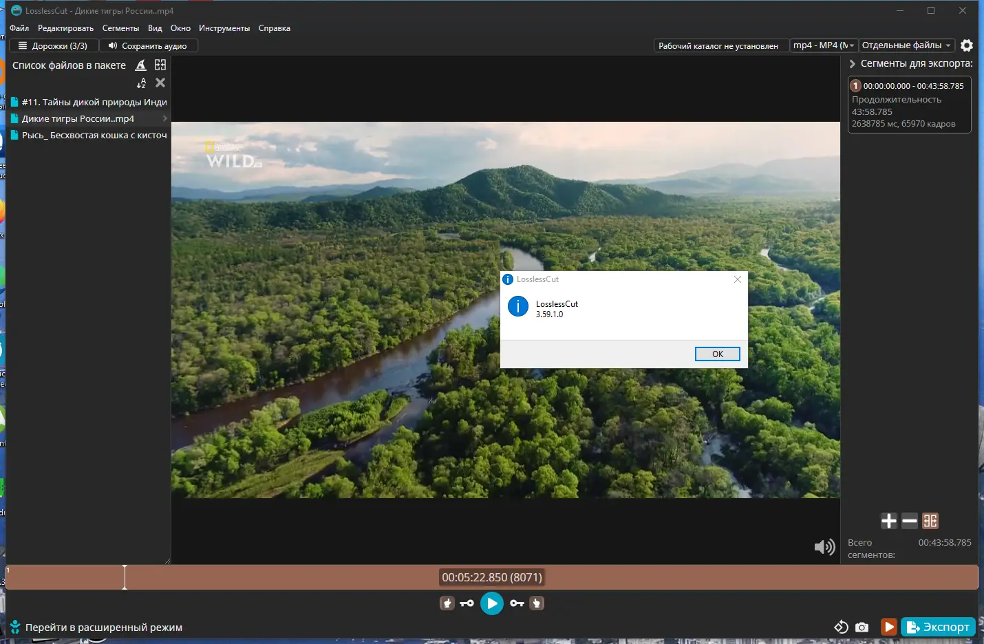 Пользовательсткй интерфейс LosslessCut 3.59.1 Standalone (x64) [Multi Ru]