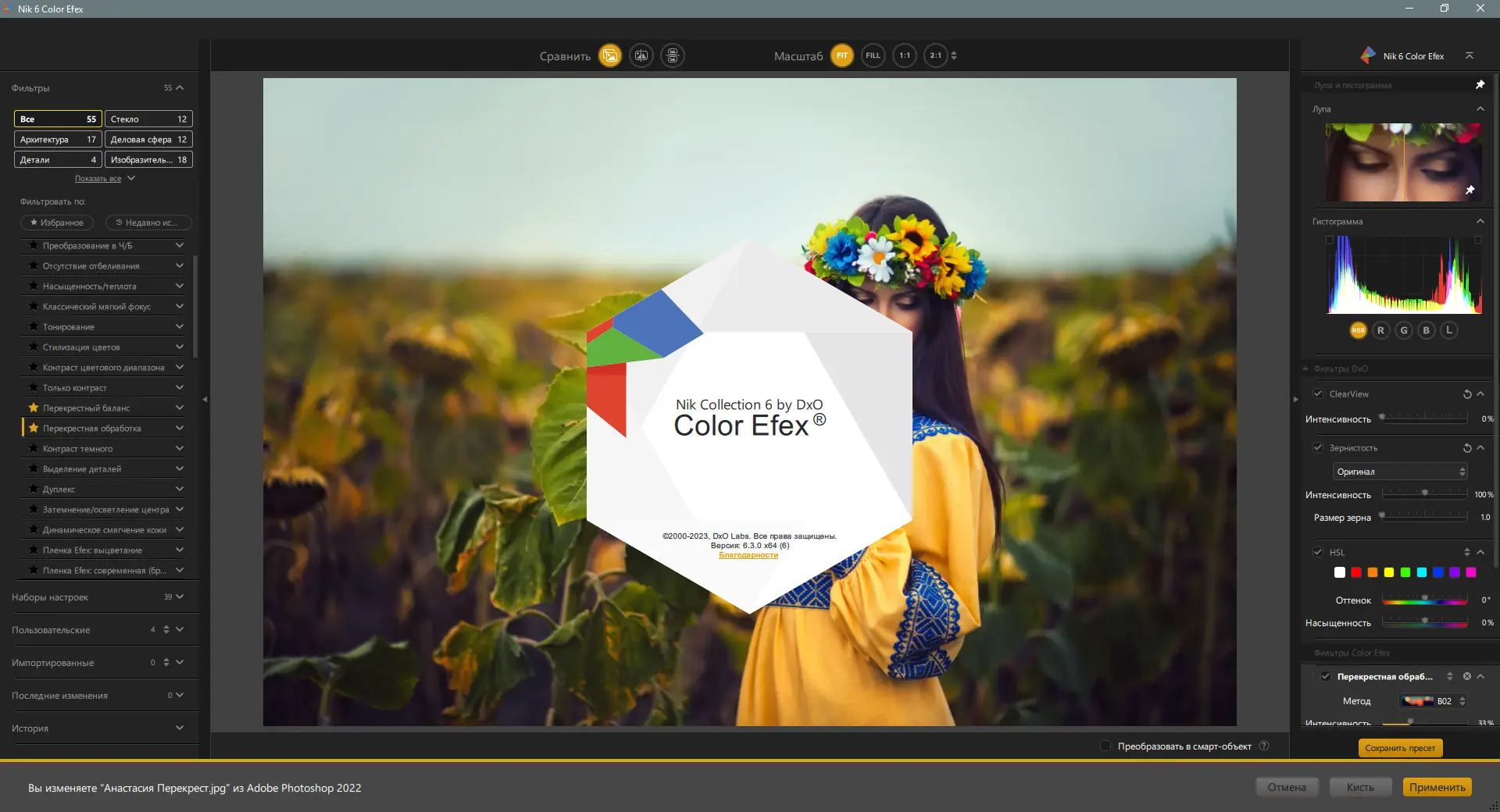 Пользовательсткй интерфейс Nik Collection by DxO 6.3.0 [Multi Ru]