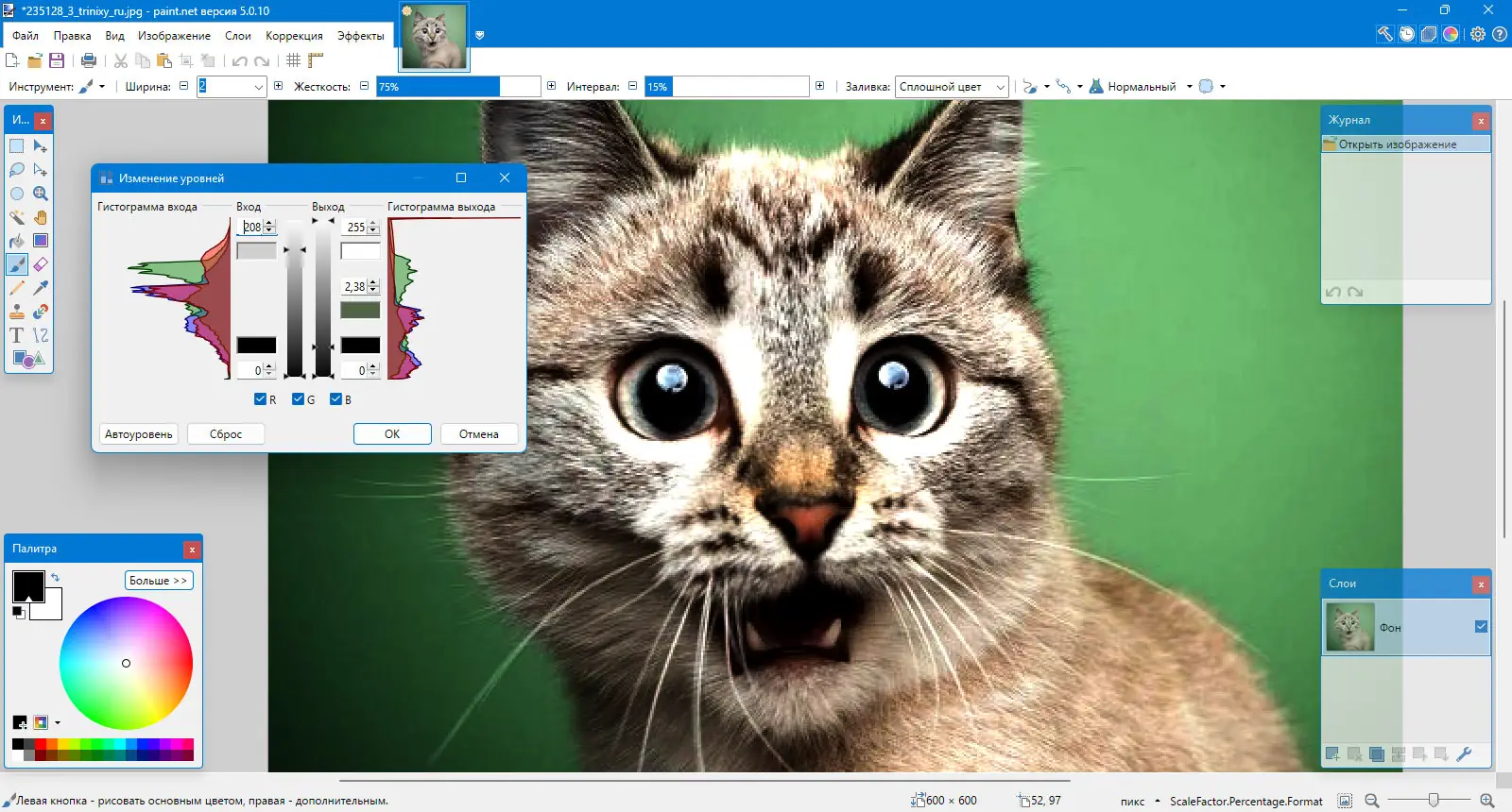 Пользовательсткй интерфейс Paint.NET 5.0.10 Final + Portable [Multi Ru]