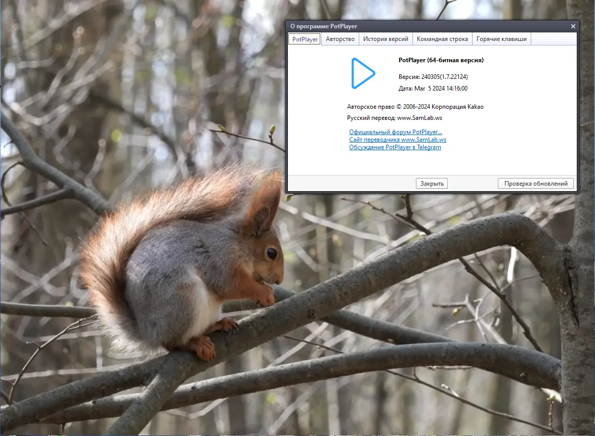 Пользовательсткй интерфейс PotPlayer 240305 (1.7.22124) Portable by 7997 [Multi Ru]