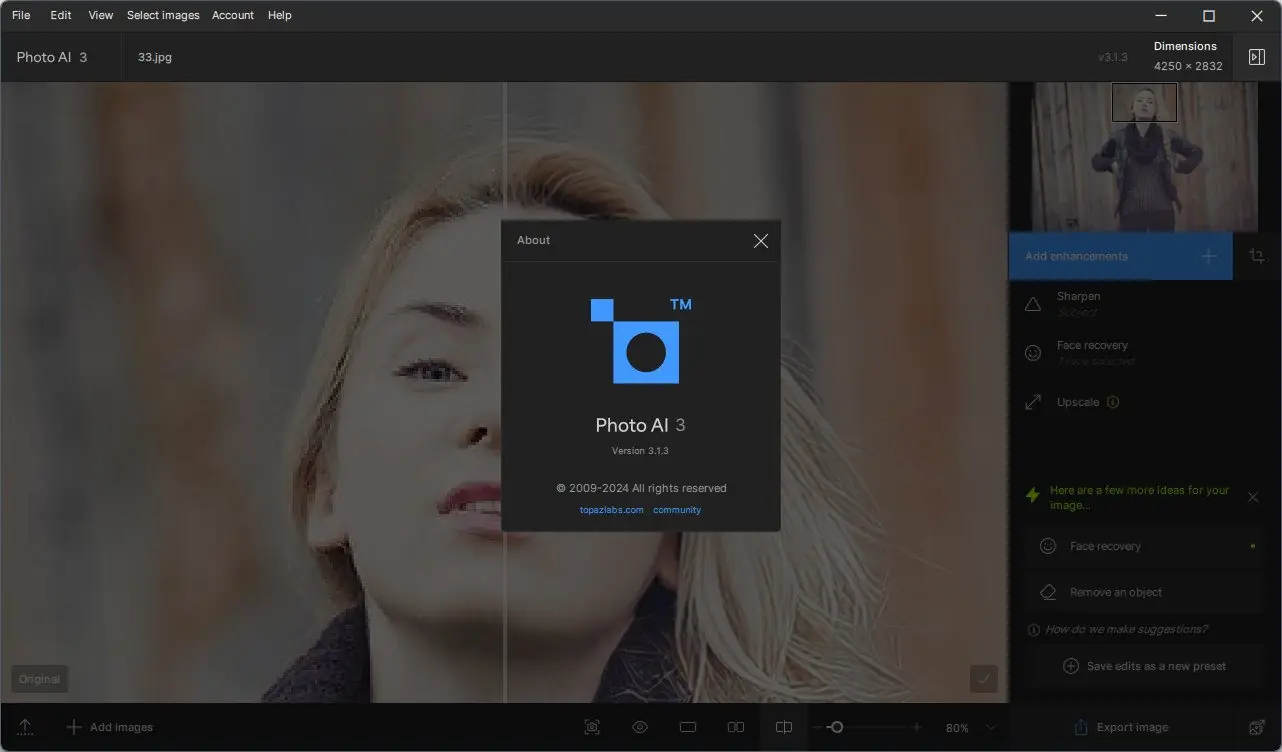 Пользовательсткй интерфейс Topaz Photo AI 3.1.3 (x64) Portable by 7997 [En]