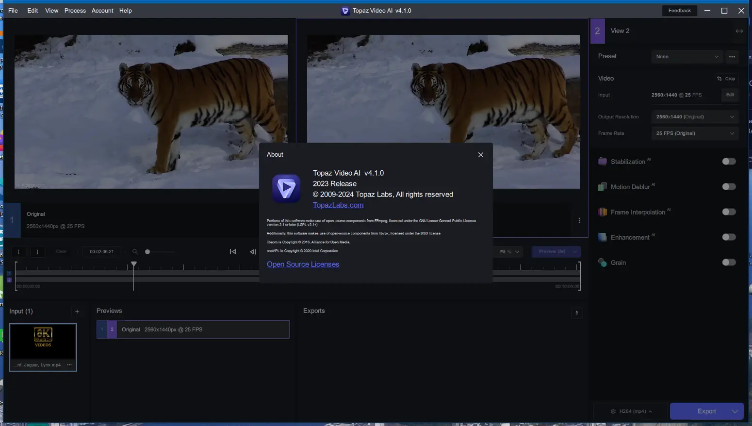 Пользовательсткй интерфейс Topaz Video AI 4.1.0 (x64) Portable by 7997 [En]