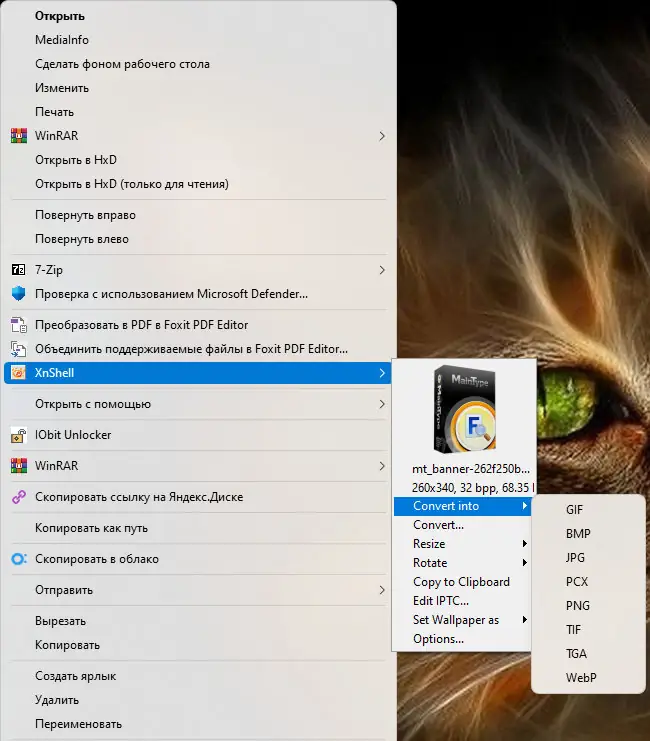 Пользовательсткй интерфейс XnView Shell Extension 4.1.8 + Standalone [Multi Ru]