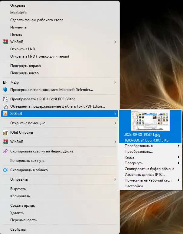 Пользовательсткй интерфейс XnView Shell Extension 4.1.9 + Standalone [Multi Ru]