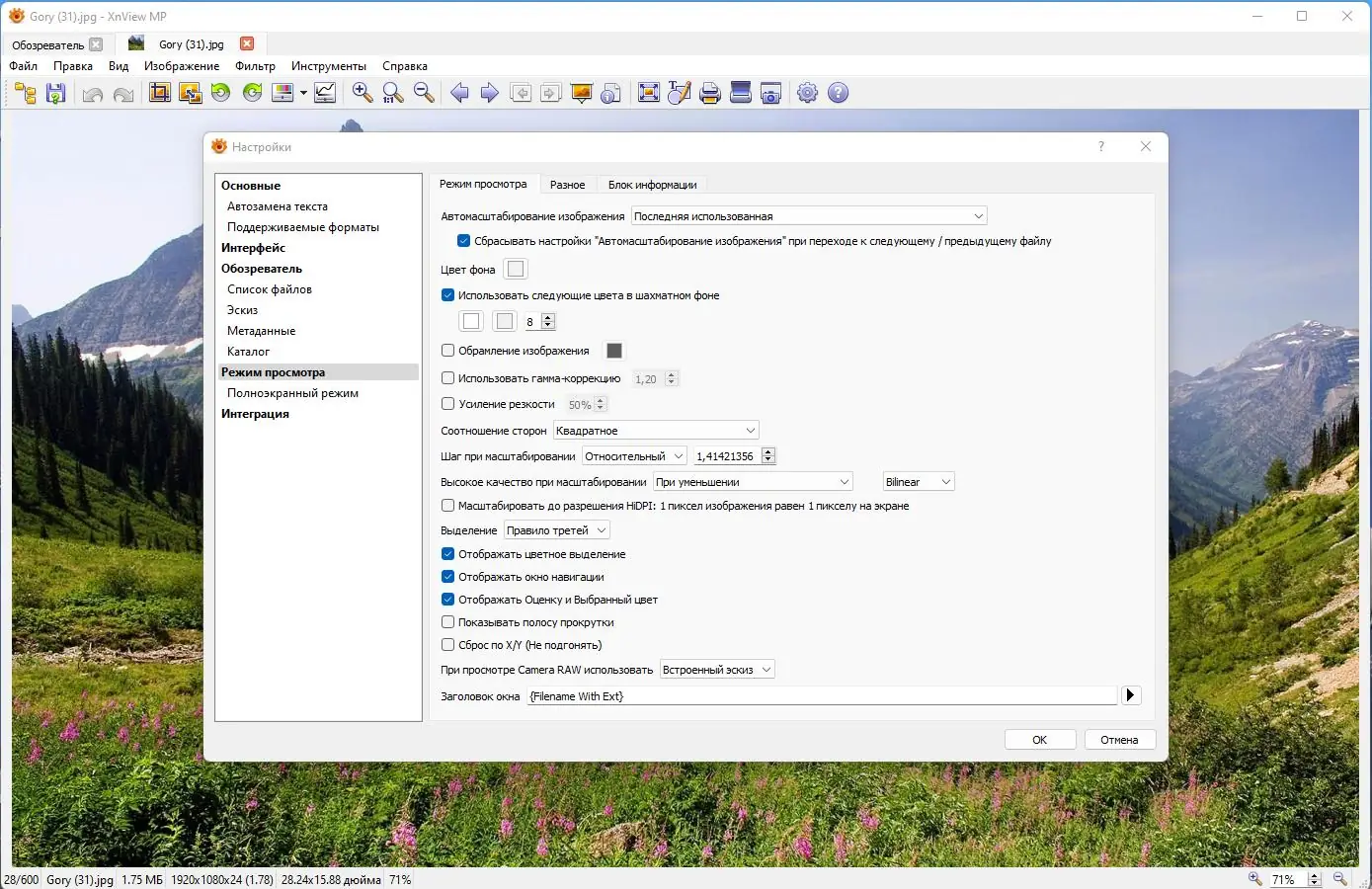 Пользовательсткй интерфейс XnViewMP 1.4.1 + Portable [Multi Ru]