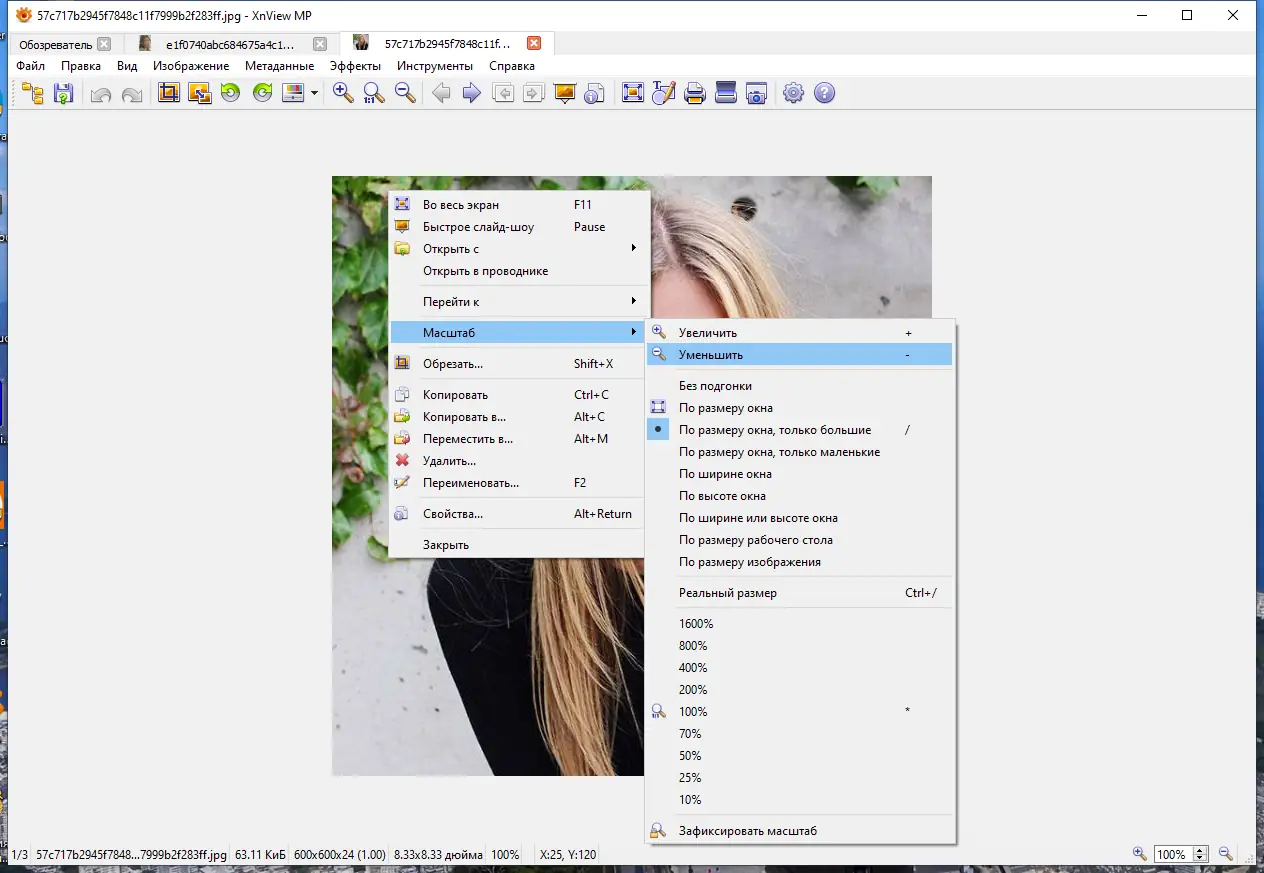 Пользовательсткй интерфейс XnViewMP 1.7.2 + Portable [Multi Ru]