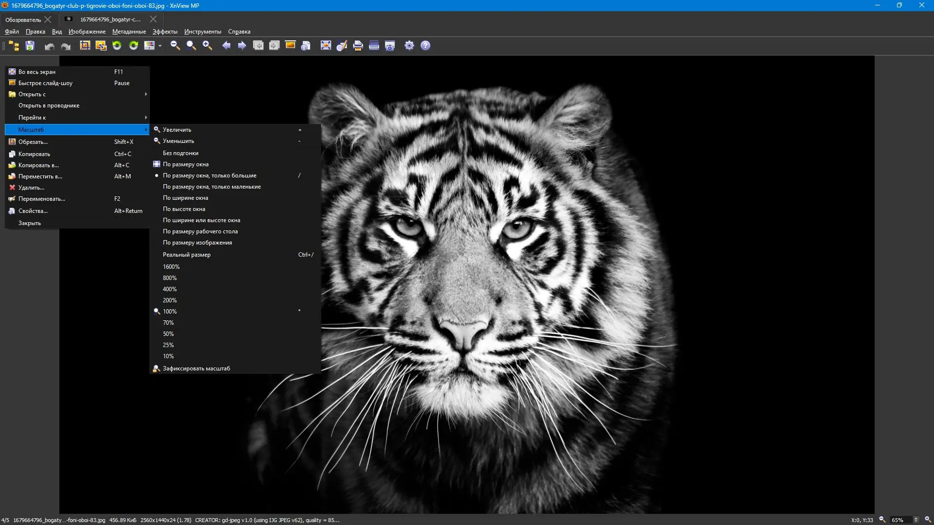 Пользовательсткй интерфейс XnViewMP 1.8.2 + Portable [Multi Ru]