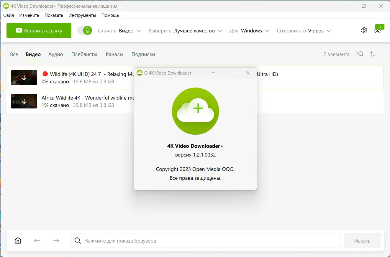 Программный интерфейс 4K Video Downloader+ 1.2.1.0032 RePack (& Portable) by KpoJIuK [Multi Ru]