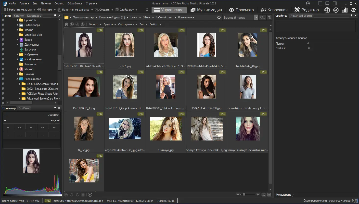 Программный интерфейс ACDSee Photo Studio Ultimate 2023 16.0.3.3188 (x64) Portable by conservator [Ru]