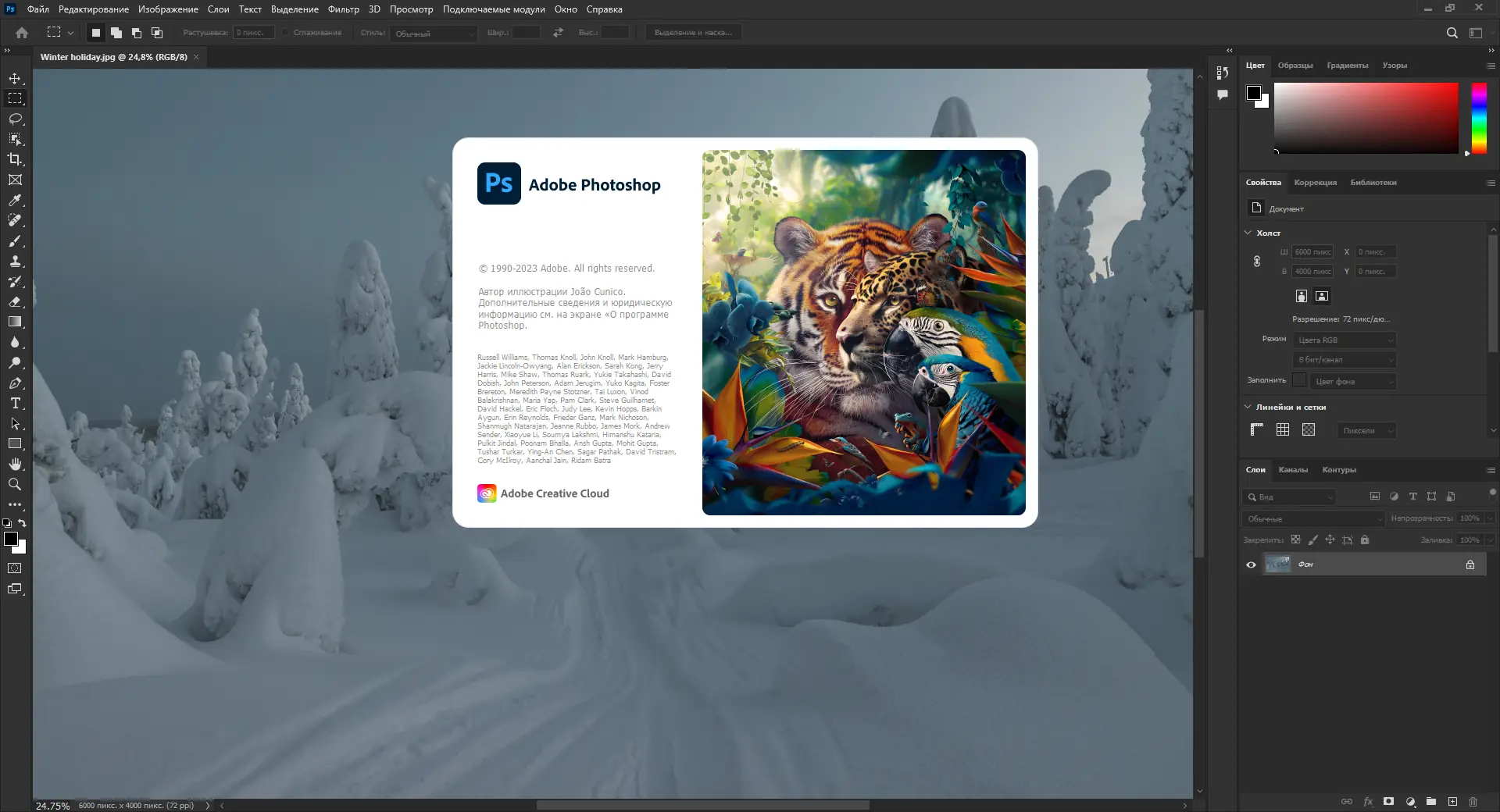 Программный интерфейс Adobe Photoshop 2024 25.3.1.241 (x64) RePack by SanLex [Multi Ru]