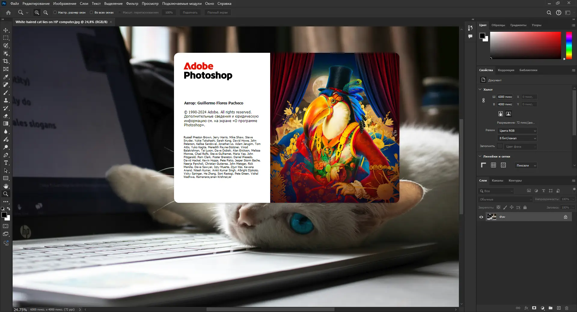 Программный интерфейс Adobe Photoshop 2025 26.1.0.121 (x64) RePack by SanLex [Multi Ru]