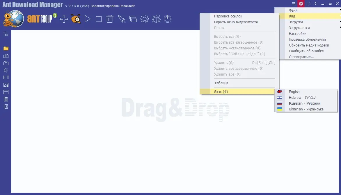 Программный интерфейс Ant Download Manager Pro 2.13.0 Build 87959 (x32) Build 87960 (x64) RePack (& Portable) by Dodakaedr [Multi Ru]