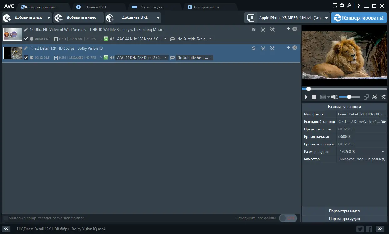 Программный интерфейс Any Video Converter Ultimate 7.1.7 RePack (& Portable) by elchupacabra [Multi Ru]