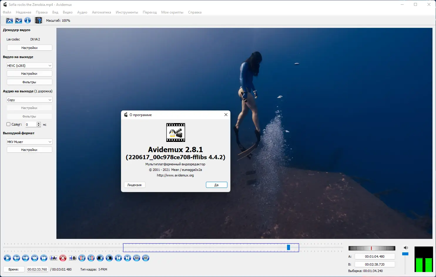 Программный интерфейс Avidemux 2.8.1 Nightly(r220617) + Portable (x64) [Multi Ru]