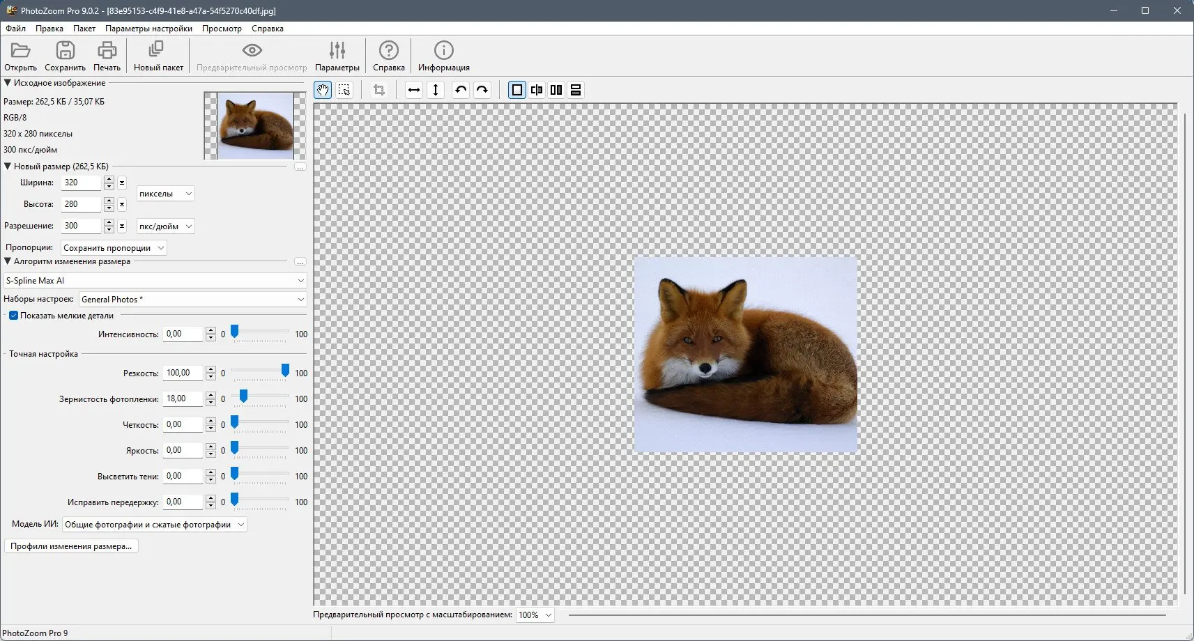 Программный интерфейс Benvista PhotoZoom Pro + Plug-in for Photoshop 9.0.2 RePack (& Portable) by elchupacabra [Multi Ru]