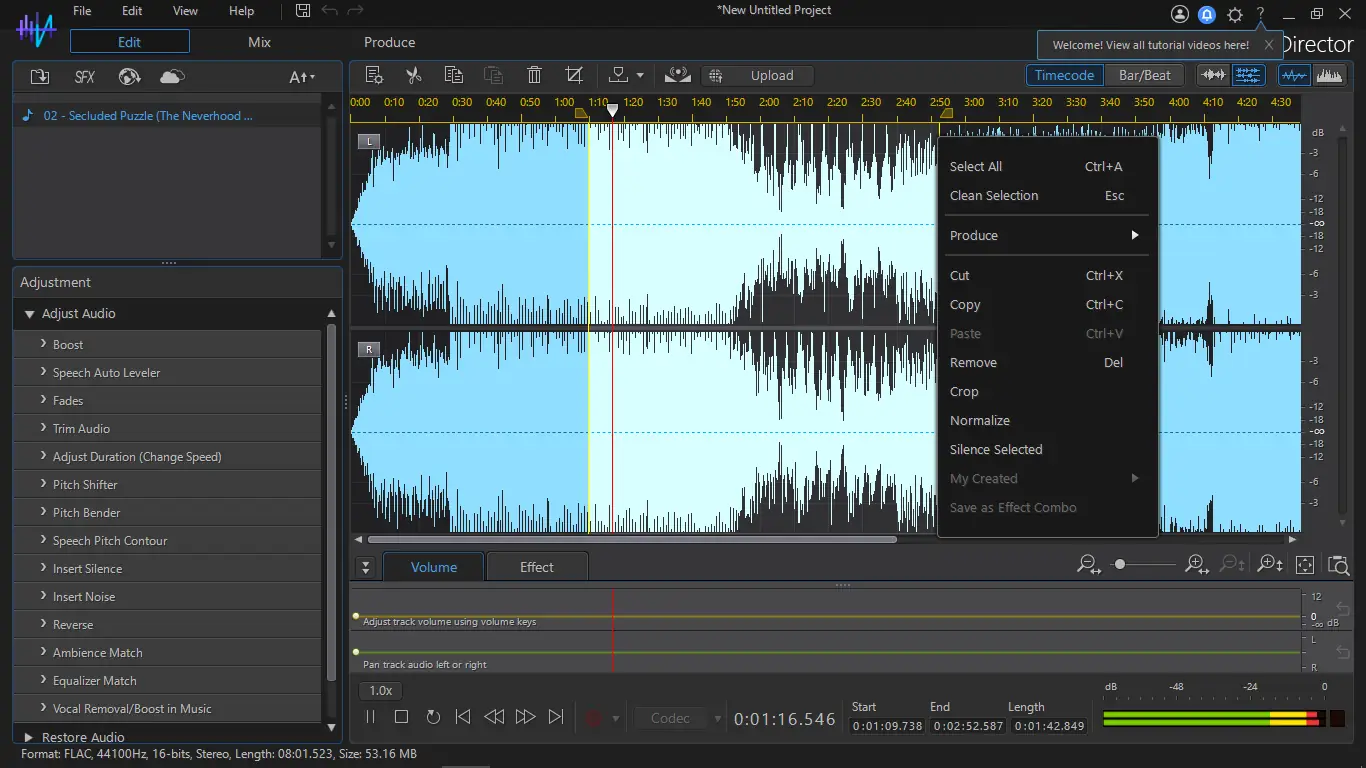 Программный интерфейс CyberLink AudioDirector Ultra 13.4.2730.0 (x64) [Multi]