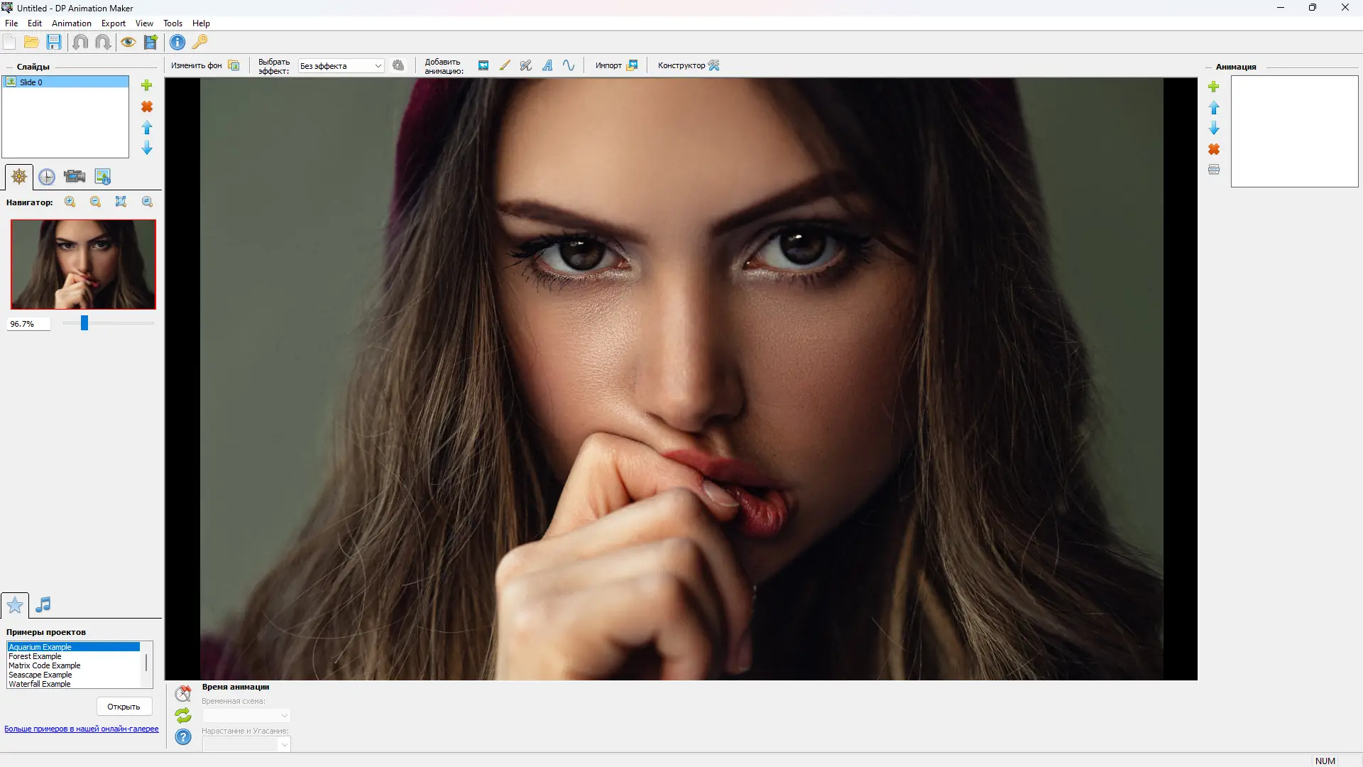 Программный интерфейс DP Animation Maker 3.5.15 RePack (& Portable) by elchupacabra [Ru En]