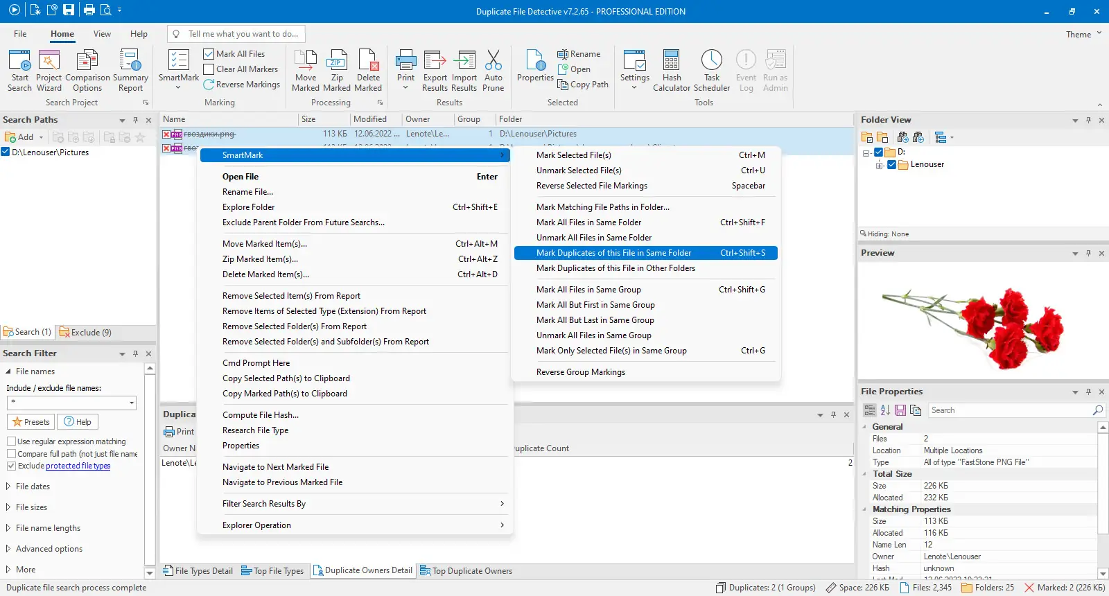 Программный интерфейс Duplicate File Detective 7.2.65.0 (x64) Professional Enterprise Server Edition [En]